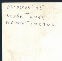 cca 1978 Kortárs fotóművészeti alkotások, 3 db feliratozott, vintage fénykép, 24x18 cm