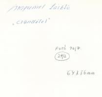 cca 1978 Kortárs fotóművészeti alkotások, 3 db feliratozott, vintage fénykép, 24x18 cm