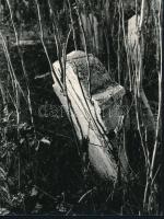 cca 1968 Székesfehérvári városképek, életképek, 5 db feliratozott vintage fotóművészeti alkotás, 24x...