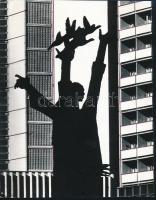 cca 1970 Kortárs fotóművészeti alkotások, 3 db feliratozott vintage fénykép, 24x19 cm és 23x17 cm kö...