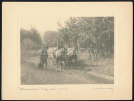 cca 1930 Aláírt, vintage fotóművészeti alkotások, 3 db fotó, 24x18 cm