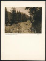 cca 1930 Aláírt, vintage fotóművészeti alkotások, 3 db fotó, 24x18 cm