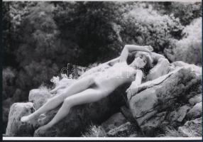 cca 1976 Fekvő képek, 4 db szolidan erotikus fénykép, vintage negatívokról készült mai nagyítások, 1...