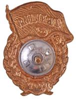 Szovjetunió ~1960-1970. "Szovjet Gárda jelvény" aranyozott, zománcozott fém jelvény csavar...