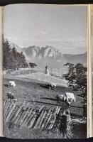 Guido Piovene: Utazás Itáliában. Bp., 1977, Gondolat. Kiadói egészvászon-kötés, kiadói papír védőbor...