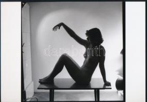 cca 1969 A dohányzóasztal legszebb dísze, 3 db szolidan erotikus fénykép, vintage negatívokról készült mai nagyítások, 18x25 cm / 3 erotic photos, 18x25 cm