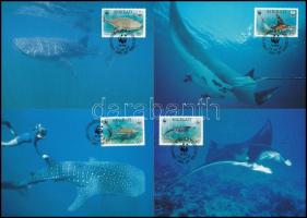 WWF: Tengeri állatok sor 4 db CM-en, WWF Sea animals set 4 CM