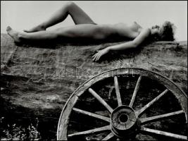 cca 1976 Menesdorfer Lajos (1941-2005): Cím nélkül, pecséttel jelzett, vintage fotóművészeti alkotás, 30x40 cm