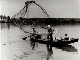 cca 1975 Halak, s vadak.... 3 db vintage fotóművészeti alkotás, kettő feliratozva, 30x40 cm