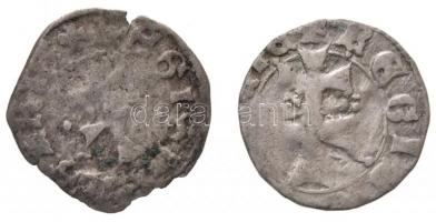 1373-1382. Denár Ag "I. Nagy Lajos" (2x) (0,34g/0,37g) T:2-,3
Huszár: 547.,Unger I.: 432