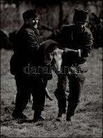 cca 1965 Sztachó Gyula: Malacvásár I-III., 3 db pecséttel jelzett, vintage fotóművészeti alkotás, 38x30 cm