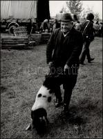 cca 1965 Sztachó Gyula: Malacvásár I-III., 3 db pecséttel jelzett, vintage fotóművészeti alkotás, 38...