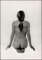 cca 1975 Aktfotók, 3 db vintage fotóművészeti alkotás feliratozva, 37x17 cm és 41x28 cm között / 3 e...