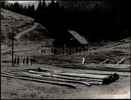 cca 1960 Krisch Béla (?-?) kecskeméti fotóművész hagyatékából 3 db jelzett vintage fotóművészeti alk...