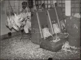 cca 1968 Medgyesi László (?-?) kecskeméti fotóművész hagyatékából 3 db vintage fotóművészeti alkotás...