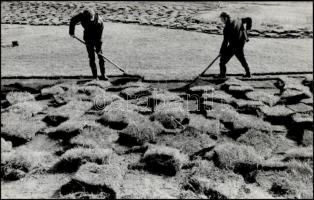 cca 1970 Magyar Alfréd 2 db feliratozott vintage fotóművészeti alkotása, 24x38 cm és 40x30 cm