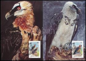 WWF Eagle set 4 CM WWF: Saskeselyű sor 4 db CM-en