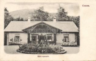 Csucsa Bäck nyaraló