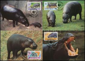 WWF: Törpe víziló sor 4 db CM-en, WWF Dwarf hippo set  4 CM