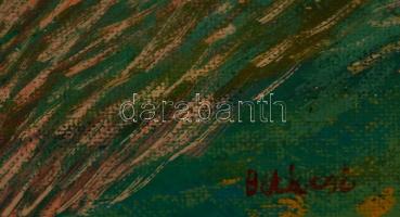 Bikácsi Daniella (1943-): Hegyek. Olaj, farost, jelzett, 80×60 cm