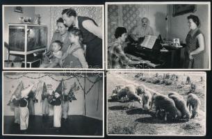 cca 1950-es, 1960-as évek, Tiszavölgyi József (1909-?) fotóriporter hagyatékából 99 db vintage fotó,...