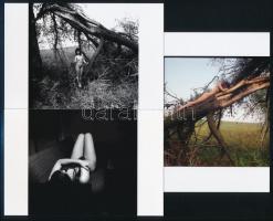 cca 1978 Örömös fényképek, 21 db szolidan erotikus fénykép, vintage negatívokról készült mai nagyítá...