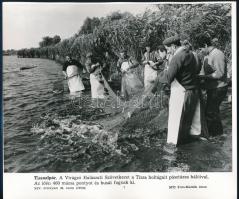 Hazai és külföldi témákban készült MTI sajtófotók, 22 db feliratozva, 21x18 cm Közte vadászat és mil...