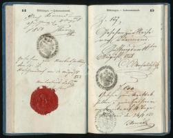 1852 Házalókönyv németújvári lakos részére tele bejygzéssel / Peddler passport