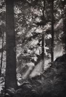 Polonia. Vier Jahreszeiten. Varsó, é. n., n. n. Számos fekete-fehér fényképpel. Vászonkötésben, jó á...