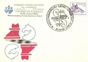 29 db MODERN sakk képeslap, nemzetközi sakkversenyek / 29 MODERN chess postcards, international ches...