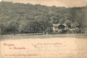 Belgrade, Kosutnjak; Königl. Jägerhaus / hunting lodge (Rb)
