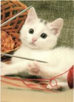 27 db MODERN macska motívumlap / 27 MODERN cat motive cards