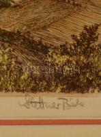 Stettner Béla (1928-1984):Badacsonyi "kőkapu". Színezett rézkarc, papír, jelzett, üvegezet...