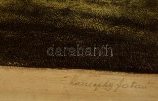 Kaveczky Zoltán (1897-1965): Tisza parti fűzfák. Színezett rézkarc, papír, jelzett, 28×39 cm