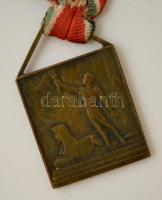 cca 1910. "Kazinczy" páholy - Szabadkőműves Br plakett vállszalagon (30x35mm) T:2- / Freem...