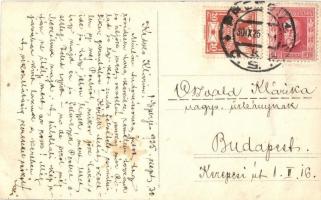 1925 Krasznahorka, Krásnohorska; kirándulók csoportképe vonaton / hiking group on the train. photo