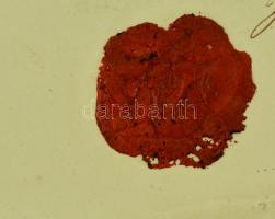 1860 Díszes mesterlevél magyar kőműves részére. / Ornamented master-warrant for Hungarian maison 64x...