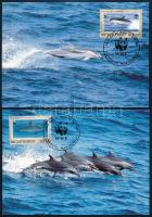 WWF Delfinek sor 4 db CM-en WWF Dolphins set on 4 CM