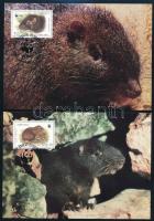 1996 WWF Jamaicai hutia (Geocapromys) sor 4 db CM-en Mi 882-885