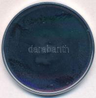 DN "Magyar tallérok utánveretben - Báthory Kristóf egyoldalú tábori tallérja 1580" Ag emlé...