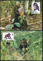WWF: Mandrill set on 4 CM WWF: Mandrill sor  4 db CM-en