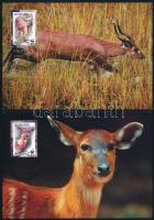 WWF Sitatunga set on 4 CM WWF: Szitatunga sor 4 db CM-en