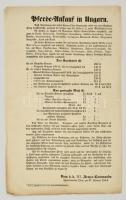 1854 Kétnyelvű hirdetmény lóvásárlás tárgyában árakkal 50x41 cm
