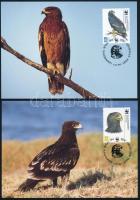 WWF: Fekete sas sor 4 db CM-en WWF Black Eagle set 4 CM