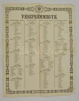 cca 1860 Veszprémmegye járásainak és kerületeinek tisztviselői. Nagyméretű tábla / plakát. Ramazetter Lajos nyomdája, Veszprém. 42x52 cm