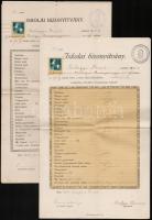 1913-1918 Pécs, Vegyes iskolai bizonyítvány tétel, okmánybélyegekkel, 5 db