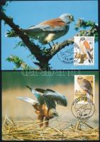 WWF Eagle set 4 CM WWF: Sas sor 4 db CM-n