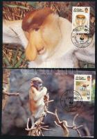 WWF Proboscis monkey set on 4 FDC WWF Borneói nagyorrúmajom 4 CM-en