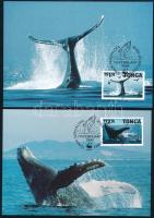 WWF: Púpos bálna 4 db CM-en WWF Humpback whale 4 CM