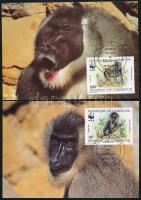 WWF Monkies set 4 CM WWF: Majmok sor 4 db CM-en